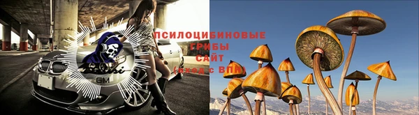 бошки Белоозёрский