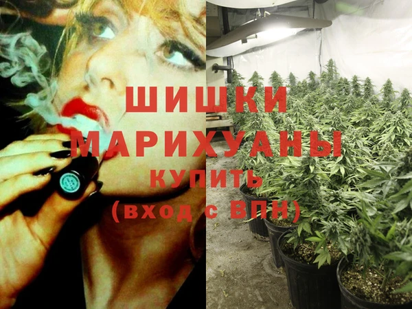 mdpv Коряжма