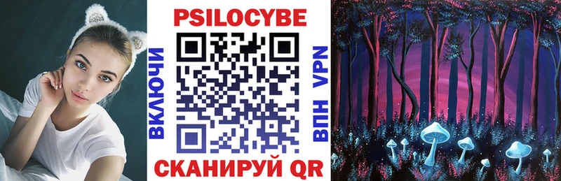 MEGA ТОР  Ворсма  Галлюциногенные грибы Cubensis 